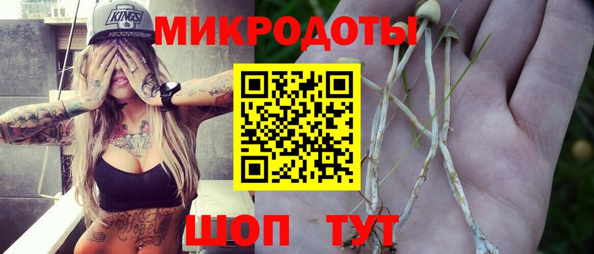 Галлюциногенные грибы Magic Shrooms  Вход с VPN  Чапаевск 